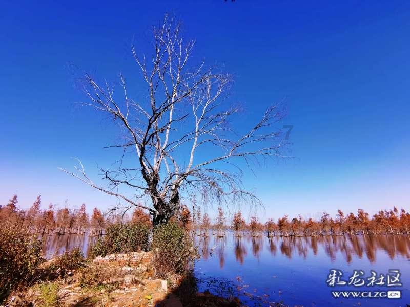 974-(387-126)用简便方法计算?-专业问答类网站